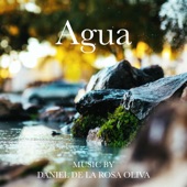 Agua artwork