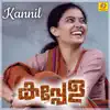 Kannil (From "Kappela") song lyrics