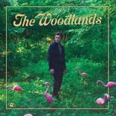 Wim Tapley - The Woodlands