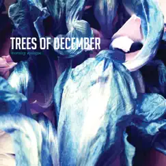 Morning Epilogue by Trees of December album reviews, ratings, credits