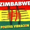 Positiva Vibración, 2006