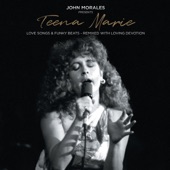 John Morales Presents Teena Marie - Love Songs & Funky Beats - Remixed With Loving Devotion