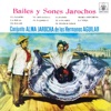 Bailes Y Sones Jarochos