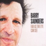 Barry Saunders - All Those Things