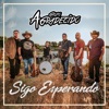 Sigo Esperando (feat. Grupo Linaje) - Single