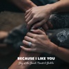 Because I Like You - Single