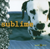 Sublime - Same in the End kunstwerk