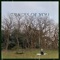 Traces of You - Eve Christina lyrics
