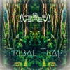 Tribal Trap - Single