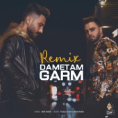 Dametam Garm (Remix) artwork