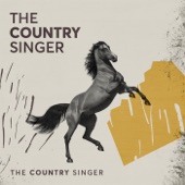 The Country Singer artwork