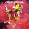 Somebody Like You (feat. D. Lylez & Xcelencia) [Remix] - Single album lyrics, reviews, download