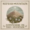 Somewhere On This Mountain (feat. Jerry Douglas) - Nefesh Mountain lyrics