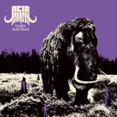 Acid Mammoth - Jack the Riffer
