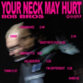 Your Neck May Hurt artwork