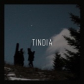 Tindia (Csudát csináljon belőle!) artwork