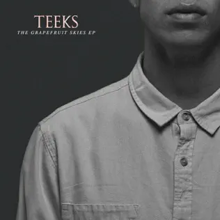 télécharger l'album Teeks - The Grapefruit Skies EP