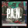 P.A.N (Pussy Ass N****s) [ [feat. Bando Jonez] - Single album lyrics, reviews, download