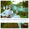 Simple Pleasures (Classified Mix) - Single artwork
