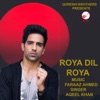 Roya Dil Roya - Single