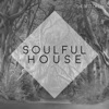 Best of LW Soulful House III, 2019