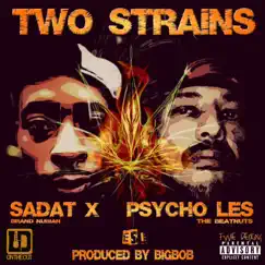 Two Strains (feat. Psycho Les & Sadat X) - Single by BigBob album reviews, ratings, credits