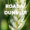 Roada Duhului - Single