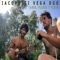 Flor de Lino (feat. Camilo Vega) - Iacopetti Vega Duo lyrics