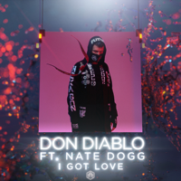 Don Diablo - I Got Love (feat. Nate Dogg) artwork