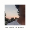 Cry Through the Melodies