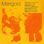 Marigold by Jelani Aryeh