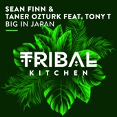 Big in Japan (feat. Tony T) artwork