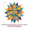 Pássaros Na Garganta e Asas do Etéreo, 2013