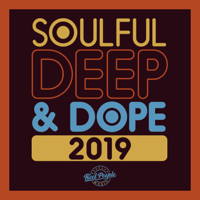 Various Artists - Soulful Deep & Dope 2019 artwork