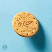 Mason - Frisky Biscuits artwork