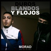 Duros, Blandos y Flojos artwork