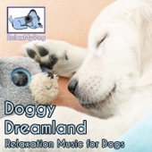 Doggy Dreamland: Relaxation Music for Dogs artwork