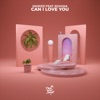 Can I Love You - Single
