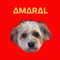 Amaral (feat. Márcio Lugó & Xandão) - Amaral Oficial & Andrei Furlan lyrics