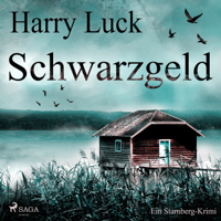 Harry Luck - Schwarzgeld - Ein Starnberg-Krimi (Ungekürzt) artwork