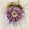 Beacon (feat. POAN) - Captures lyrics