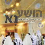 הושע נא artwork