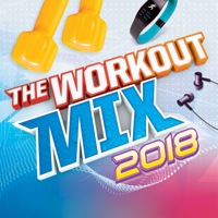 Various Artists - The Workout Mix 2018 artwork