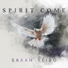 Spirit Come - Single