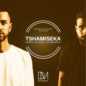 Tshamiseka (feat. Khensy) [Dwson Remix] artwork