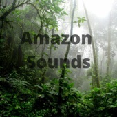 Amazon Sounds artwork