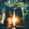 Cardigan (Piano Version) - Single album lyrics, reviews, download