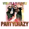 DJ Flowfly - Party Crazy