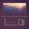 David Danced - Mary Ann Young lyrics