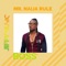 Boss - Mr. Naija Rule lyrics